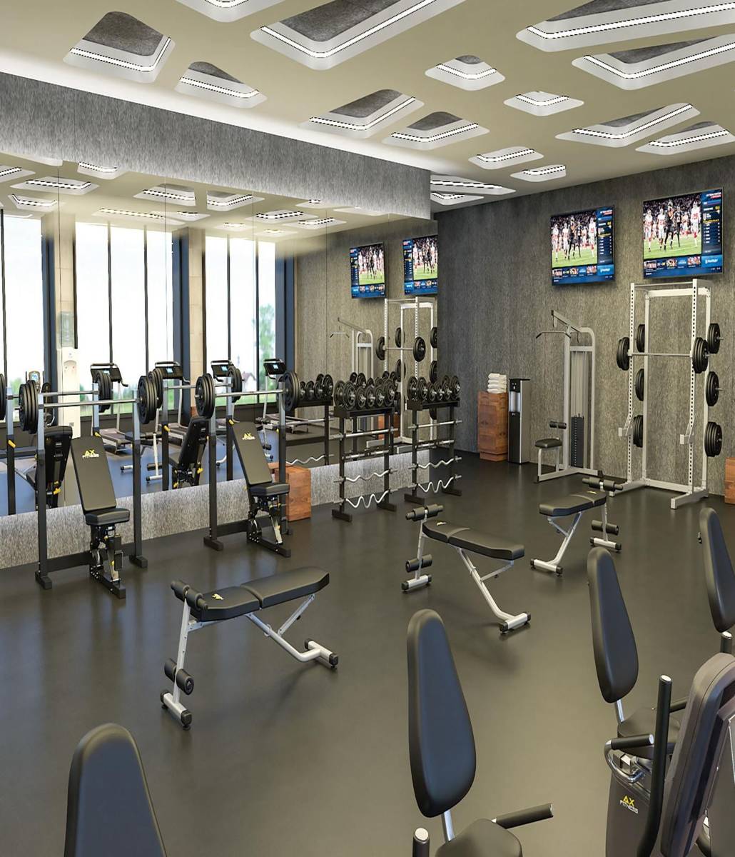 Gimnasio